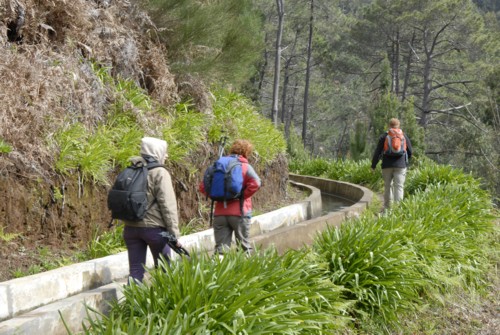 Portugal | Madeira | Prazeres | Levada Nove | Calheta