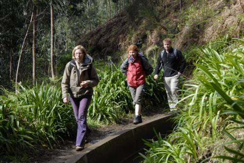 Portugal | Madeira | Prazeres | Levada Nove | Calheta