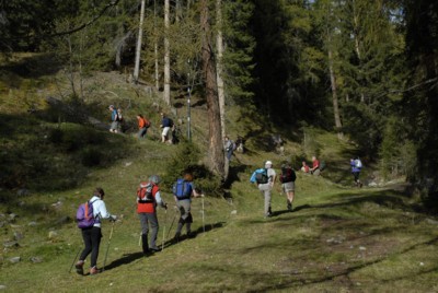 Südtirol | Gsiesertal | Hörneckele