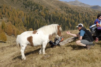 Südtirol | Gsiesertal | Hörneckele