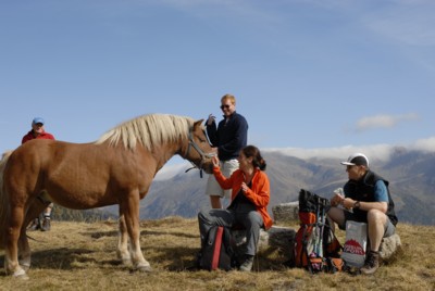 Südtirol | Gsiesertal | Hörneckele