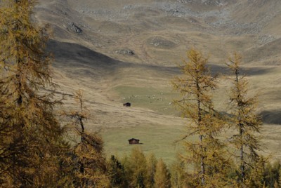 Südtirol | Gsiesertal | Hörneckele