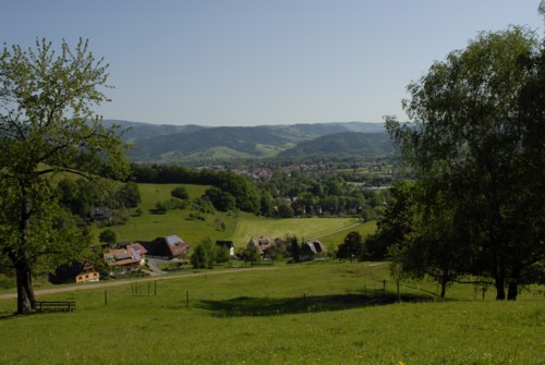 Wanderung | Schwarzwald | Schauinsland | Kirchzarten | Dietenbach