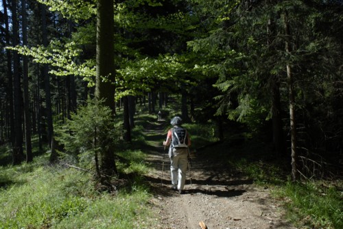 Wanderung | Schwarzwald | Schauinsland | Kirchzarten | Dietenbach