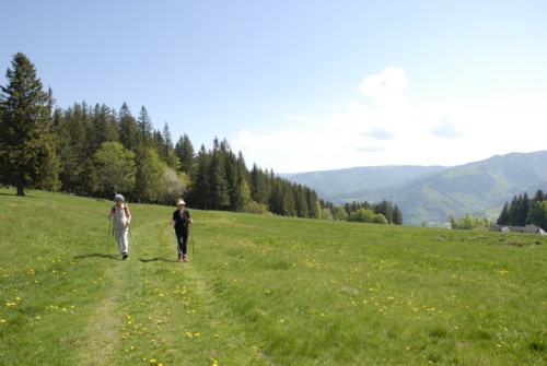 Wanderung | Schwarzwald | Schauinsland | Kirchzarten | Dietenbach