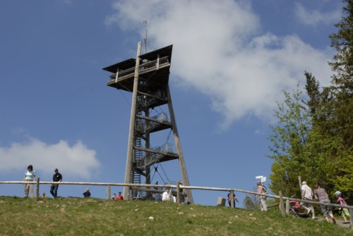 Wanderung | Schwarzwald | Schauinsland | Kirchzarten | Dietenbach