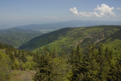 Wanderung | Schwarzwald | Schauinsland | Kirchzarten | Dietenbach