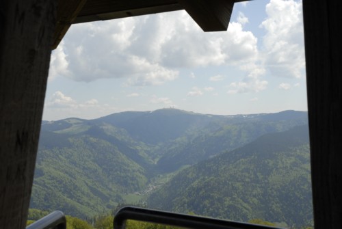 Wanderung | Schwarzwald | Schauinsland | Kirchzarten | Dietenbach