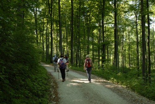 Jura Höhenweg | Basler Höhenweg | Dornach | Gempen