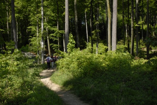 Jura Höhenweg | Basler Höhenweg | Dornach | Gempen