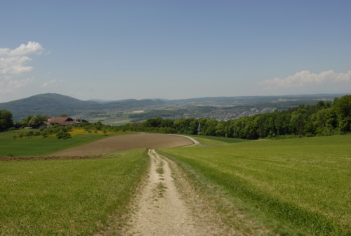 Jura Höhenweg | Basler Höhenweg | Dornach | Gempen