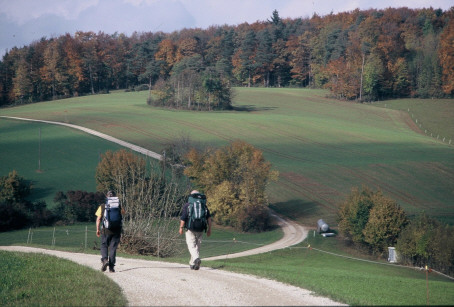 im Herbst über die sanften Hügel des Plateau-Juras