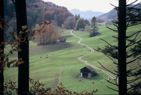 sanft schlängelt sich der Weg durch die Wiesen Richtung Hauenstein