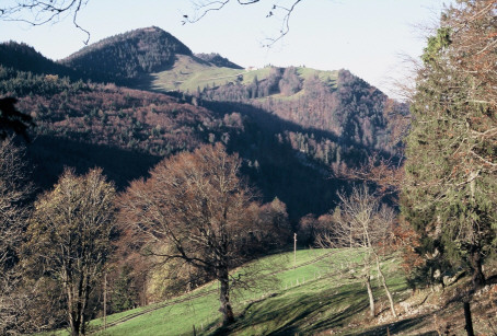 die Hasenmatt (1445 m) - der höchste Gipfel des deutschsprachigen Juras