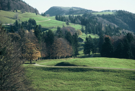 Rückblick am 5.Tag auf den tollen Aussichtsberg der Röti (1395 m)