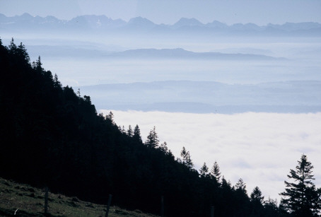 die Berge des Berner Oberlandes schweben über dem herbstlichen Nebelmeer