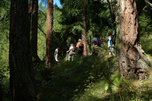 Aufstieg zum Lötschentaler Höhenweg