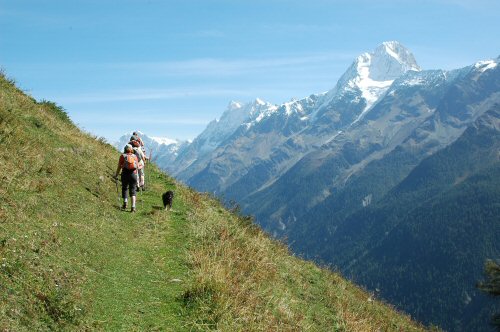 Lötschentaler Höhenweg mit Blick auf das Bietschhorn