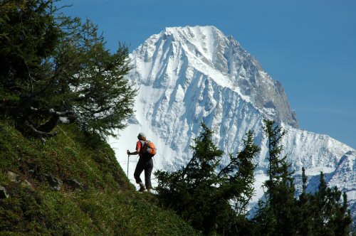 Lötschentaler Höhenweg mit Bietschhorn