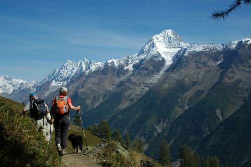 Lötschentaler Höhenweg mit dem Bietschhorn