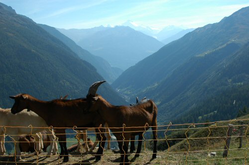 Eingang zum Lötschental