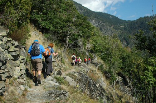 Weg von Aussberg nach Eggerberg