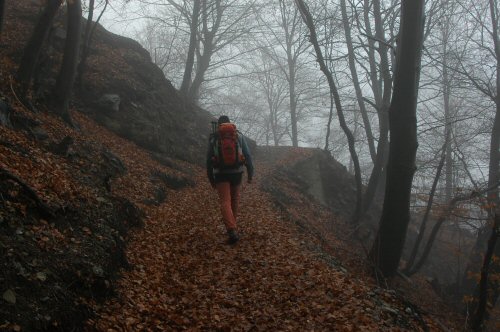 Aufstieg von Brè bei Lugana zur Alpe Bolla