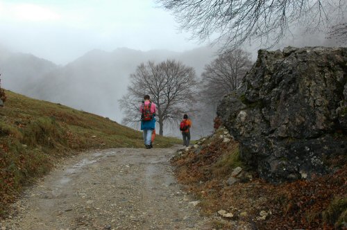 kurz vor der Alpe Bolla bei Lugano