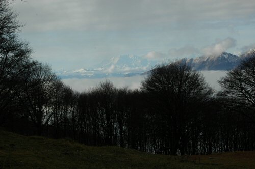 Blick vom Aufstieg auf den Monte Boglia auf die 4000er im Wallis