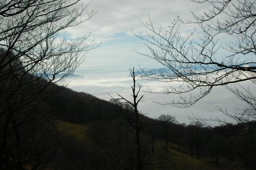 Blick hinab beim Aufstieg auf den Monte Boglia bei Brè im Tessin