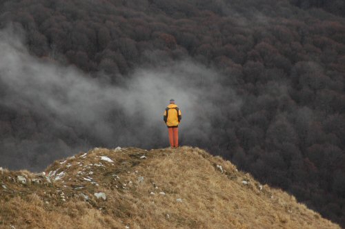 Kurz vor dem Gipfel des Monte Boglia