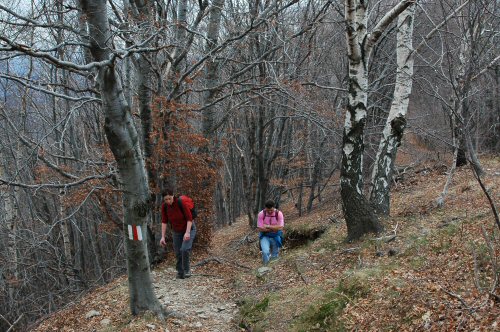 Aufstieg zum Monte Lemo von Miglieglia aus