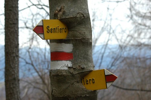 Wegweiser beim Abstieg vom Monte Lemo nach Miglieglia