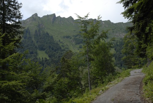 Wanderung von Amden zum Berggasthof Oberchaeseren