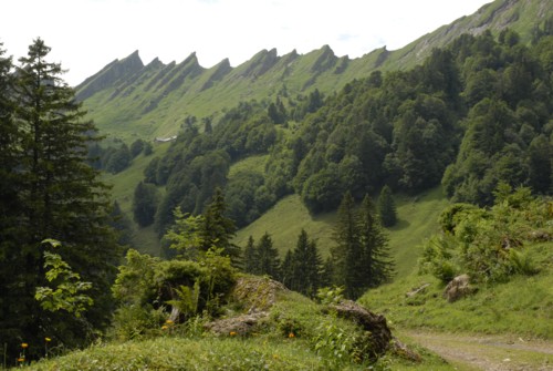 Wanderung von Amden zum Berggasthof Oberchaeseren