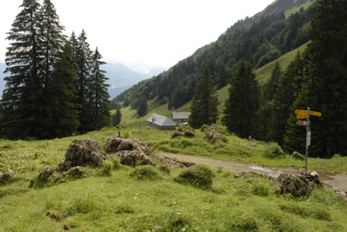 Wanderung von Amden zum Berggasthof Oberchaeseren