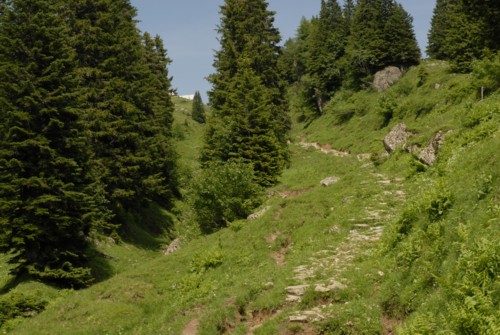 Wanderung von Amden zum Berggasthof Oberchaeseren