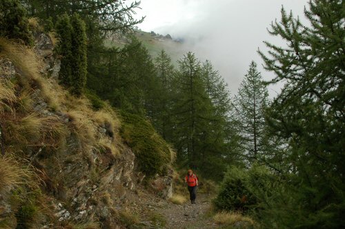 Weg von Törbel zur Moosalp