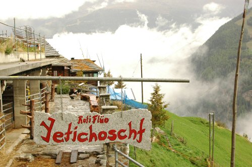 Roti Flüo, Yaks-Farm im Oberwallis bei Embd, Törbel