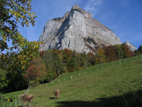 Blick auf den großen Mythen (1899 m)