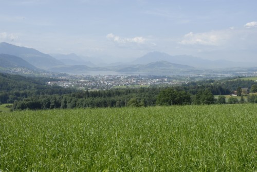 Wanderung auf das Albishorn und Rückweg über den Sihlwald