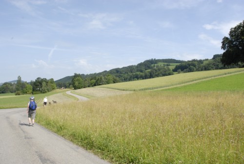 Wanderung auf das Albishorn und Rückweg über den Sihlwald