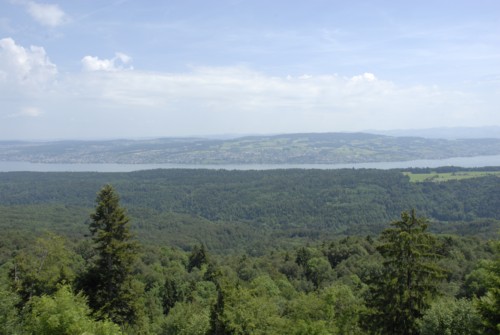 Wanderung auf das Albishorn und Rückweg über den Sihlwald