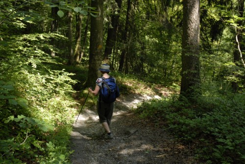 Wanderung auf das Albishorn und Rückweg über den Sihlwald