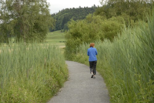 Rundwanderung um den Türlersee; Wanderung auf der Albiskette im Knonauer Amt