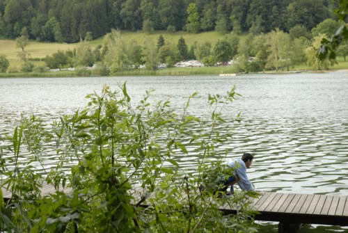 Rundwanderung um den Türlersee; Wanderung auf der Albiskette im Knonauer Amt