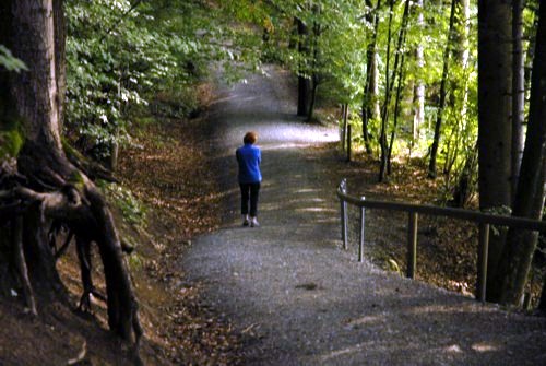 Rundwanderung um den Türlersee; Wanderung auf der Albiskette im Knonauer Amt