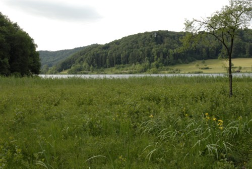 Rundwanderung um den Türlersee; Wanderung auf der Albiskette im Knonauer Amt