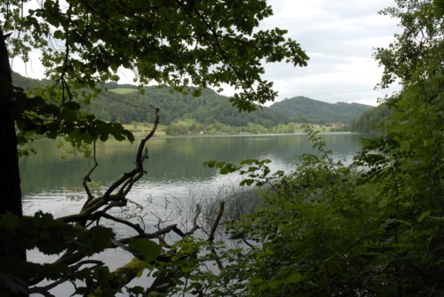 Rundwanderung um den Türlersee; Wanderung auf der Albiskette im Knonauer Amt