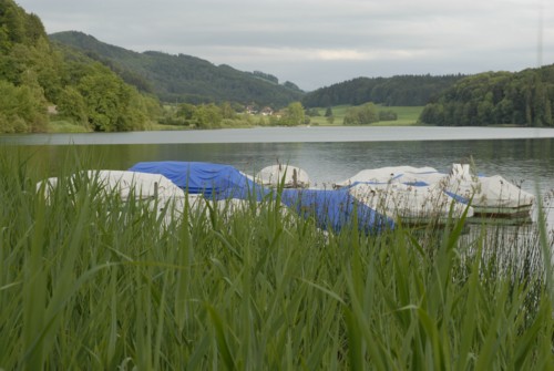 Rundwanderung um den Türlersee; Wanderung auf der Albiskette im Knonauer Amt